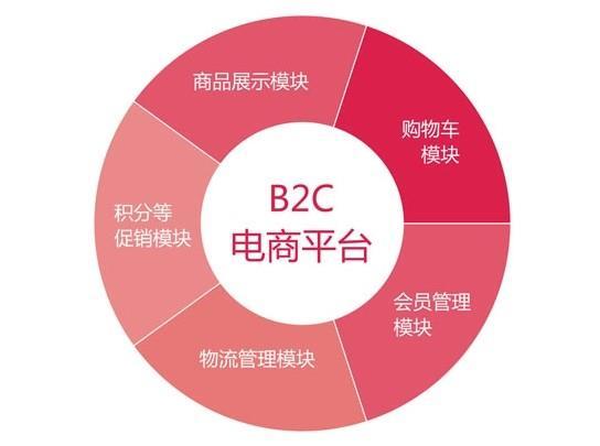 b2c电子商务网站发展及运营注意要点