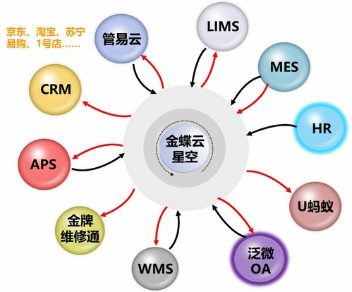 龙蟠科技 打造数字化工厂